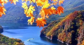 总要去一次丽江吧,看看古城的夜景,听听酒吧里的民谣,感受丽江的诗意烟火