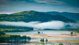 “绿美广东”研学线路:绿美文化：传好一门艺