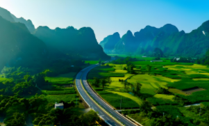 “绿美广东”研学线路:绿美文化：传好一门艺