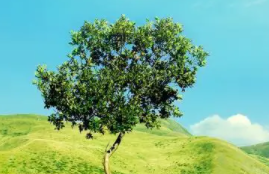 昆明着力打造“有一种叫云南的生活”核心体验地